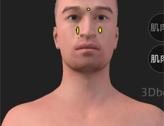 各类鼻炎的治法