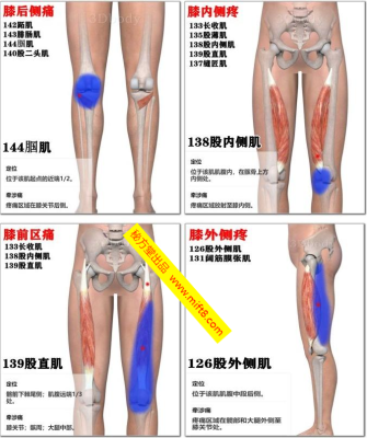 膝盖疼滑膜炎问题处理解说
